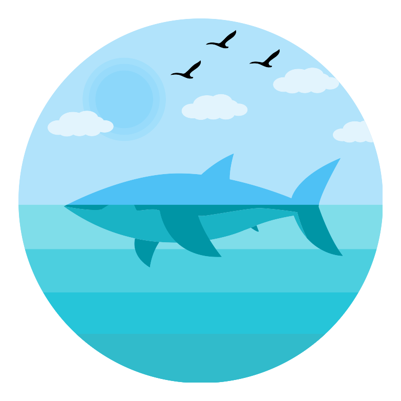 ���Ż���